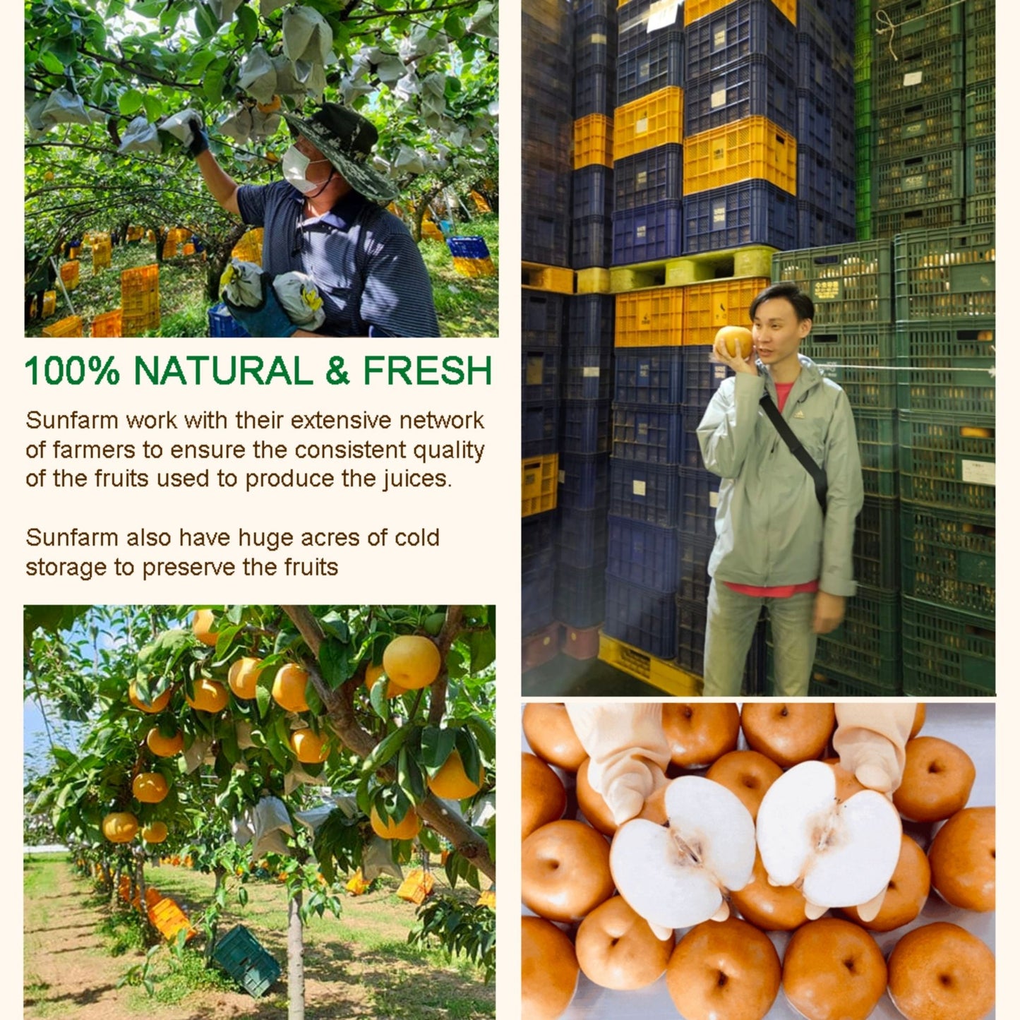 Dinky Sun Farm Korea 100% NFC Fruit Juice