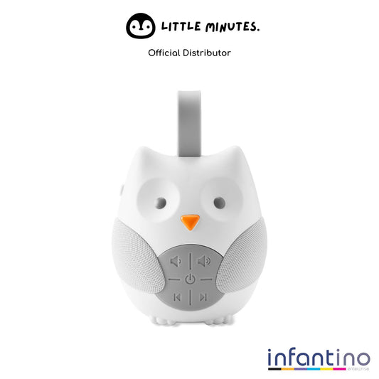 Little Minutes Portable Owl Baby Soother