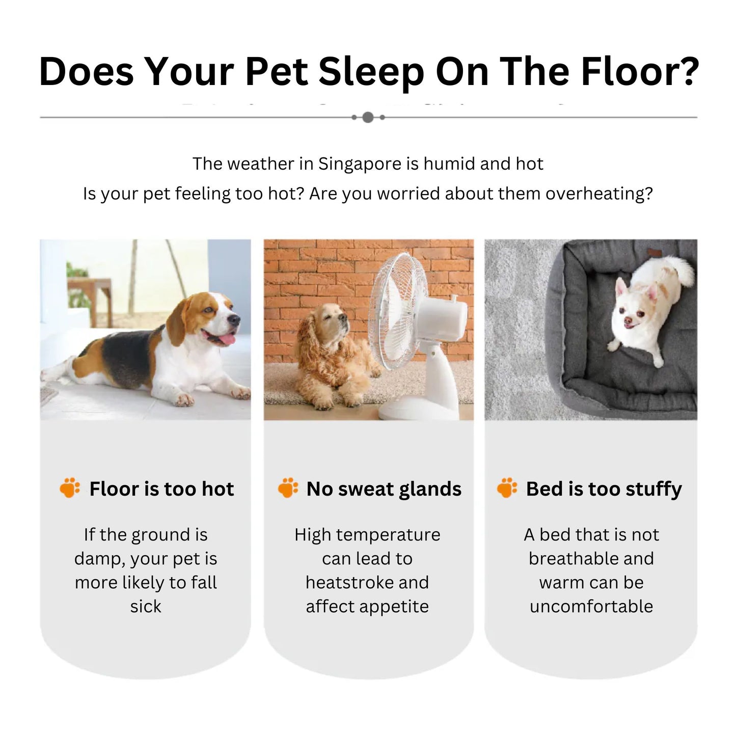 Ni Pet Premium Pet Tent (Medium)