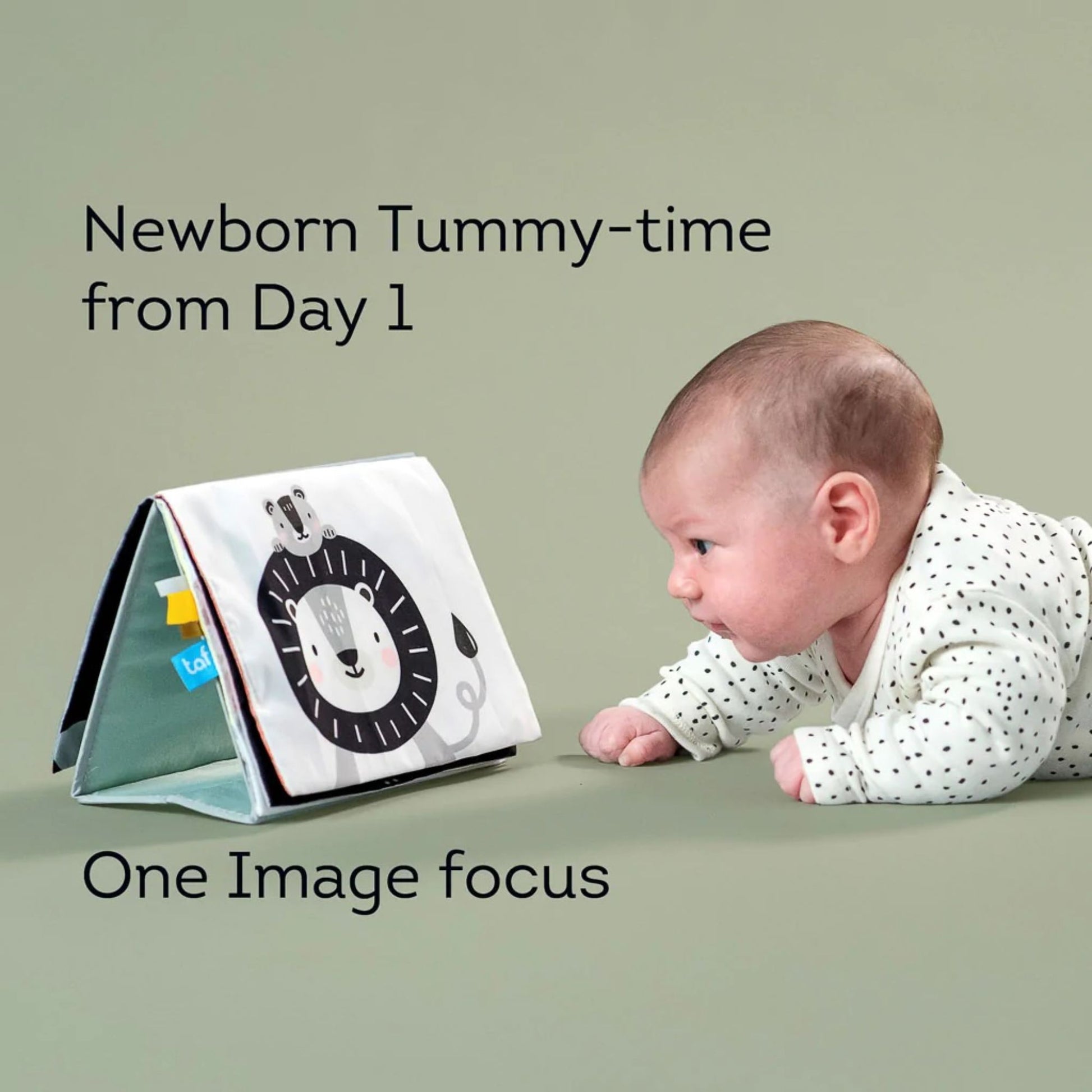 Taf Toys Savannah Tummy-Time Book - Infantino