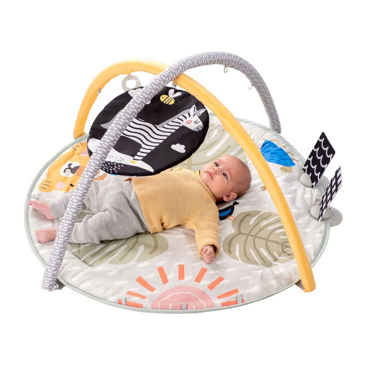 Taf Toys Savannah 360° Activity Gym