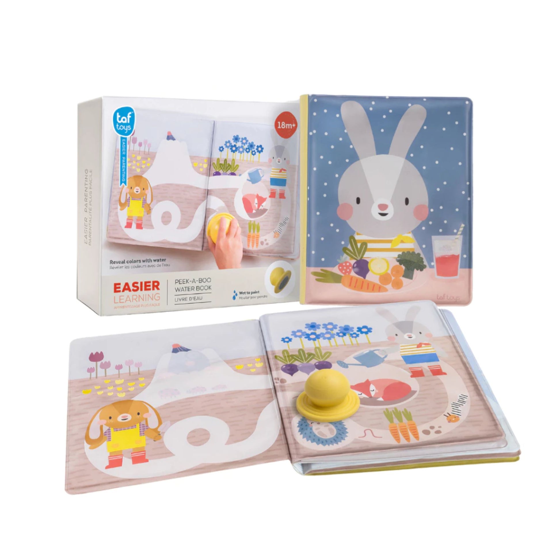 Taf Toys Peek-A-Boo Water Book - Infantino