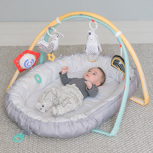 Taf Toys Musical Newborn Cosy Gym