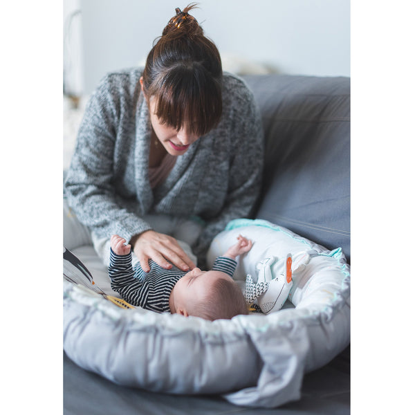 Taf Toys Musical Newborn Cosy Gym